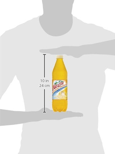 Peñafiel Naranjada Mineral Spring Water, 20.3 Fluid Ounce Bottle (Pack of 12)