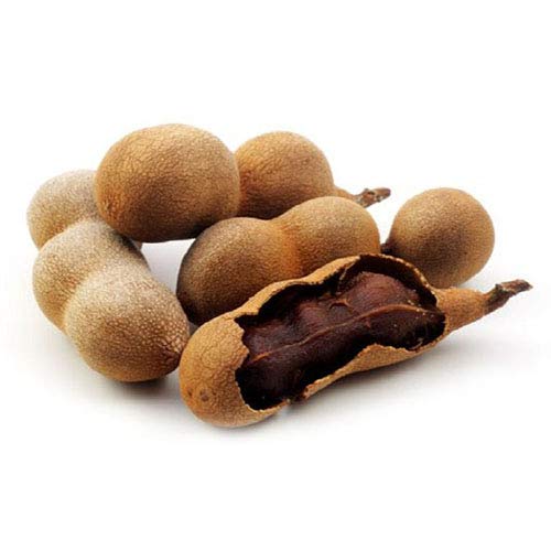 TAMA-ROCA Pellizco 800 gr. 40 Piezas | Tamarind Candy Hot & Salted 28.2 oz.