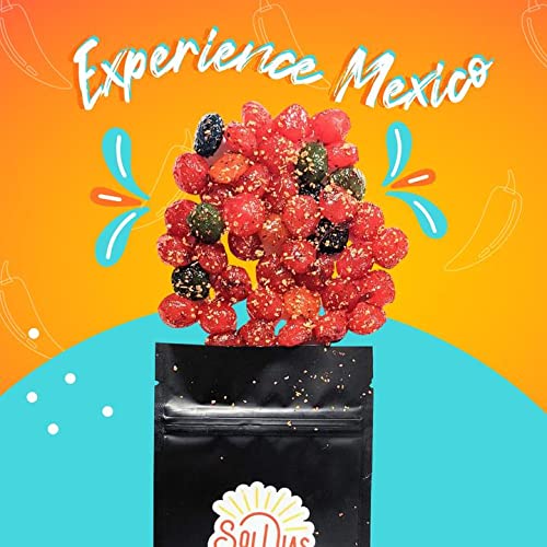 SolDias Dulces Enchilados Gusher, Heat Level, Spicy, Gusher in Chamoy, With No Added Allergens, 2.5 oZ