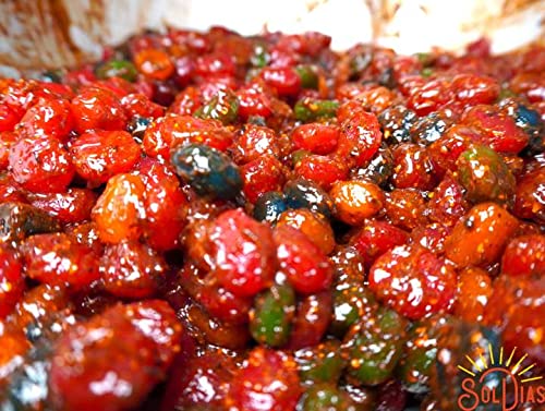SolDias Dulces Enchilados Gusher, Heat Level, Spicy, Gusher in Chamoy, With No Added Allergens, 2.5 oZ