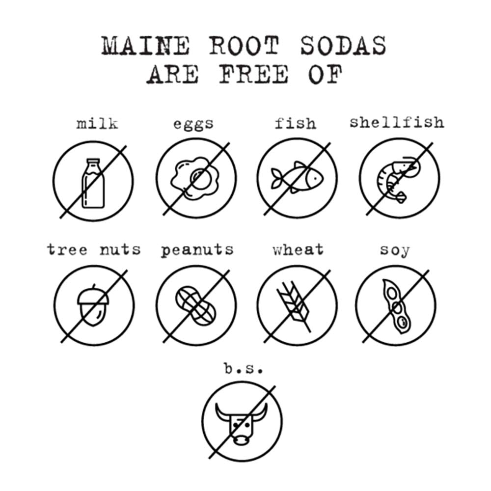 Maine Root Soda - Fair Trade Craft Soda in Glass Bottles (Mexicane 12 Pack)