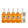Jarritos Variety Collection Mexican Soft Soda Drink Flavors May Vary 1.5 Lt Plastic Bottles 5-Pack + 15 Sugarcane Disposable Straws by KOOL8SHOP Infinite Deals