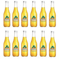 QUALITATT 10 Jarritos Mexican Soft Soda Drink Passion Fruit Glass Bottle 12 fl oz 12 Pack by Qualitatt