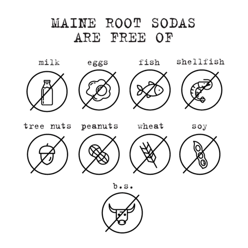 Maine Root Soda - Fair Trade Craft Soda in Glass Bottles (Mexicane 12 Pack)