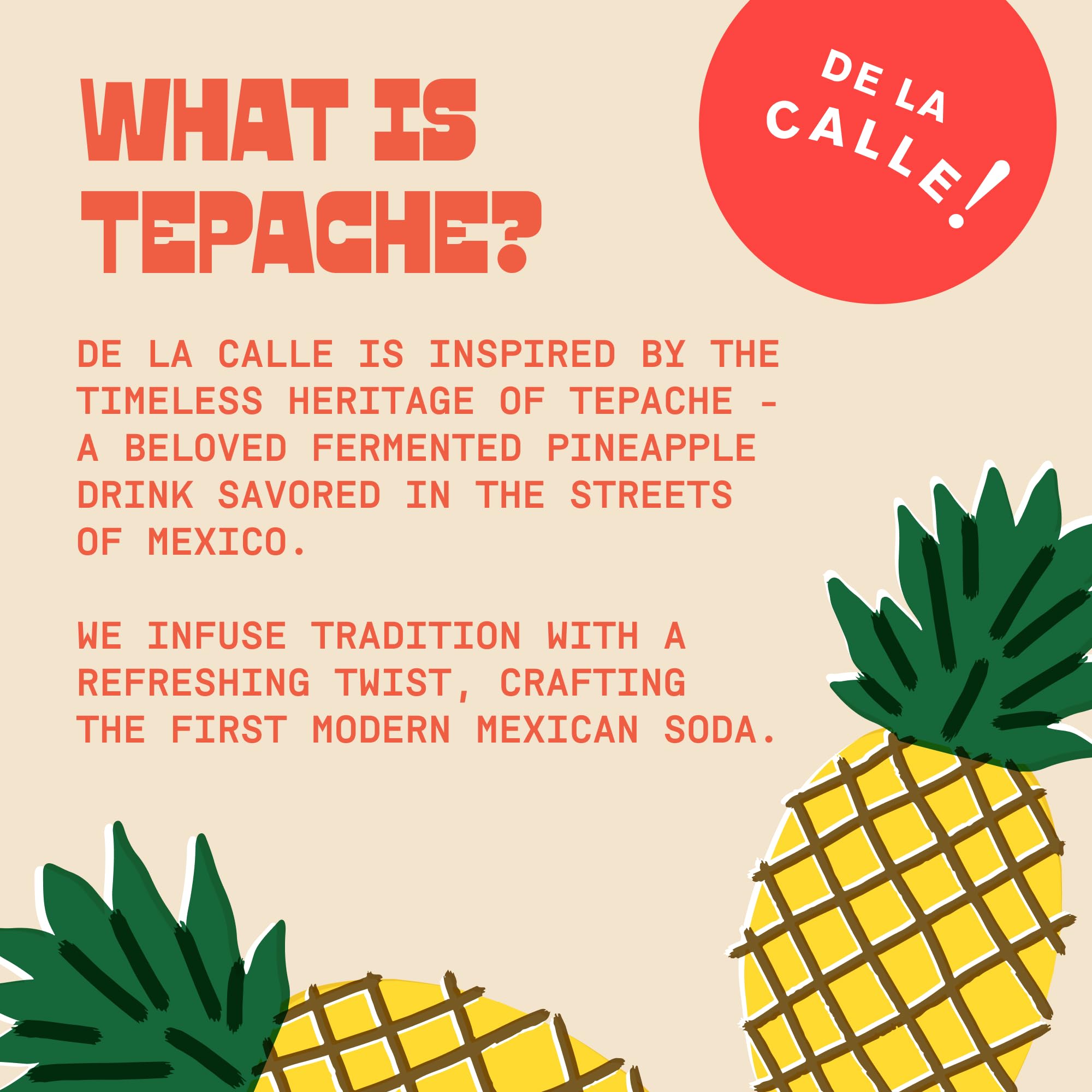 De La Calle Tepache - Mixta Variety Pack - Modern Mexican Soda - Craft Fermented Pineapple Sparkling Beverage - Certified Organic, Non-Alcoholic, Healthy Soda, Low Sugar, Low Calorie, Non-GMO