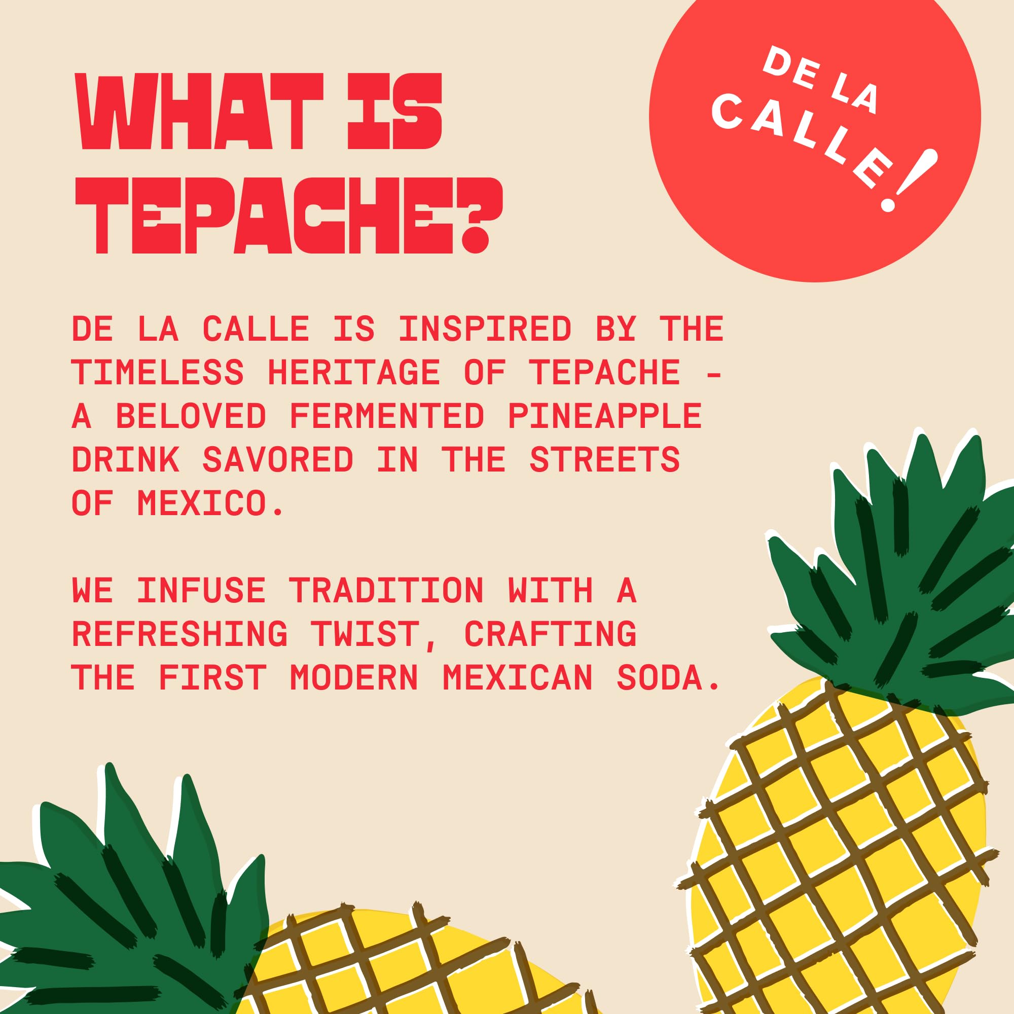 De La Calle Tepache - Mixta Variety Pack - Modern Mexican Soda - Craft Fermented Pineapple Sparkling Beverage - Certified Organic, Non-Alcoholic, Healthy Soda, Low Sugar, Low Calorie, Non-GMO