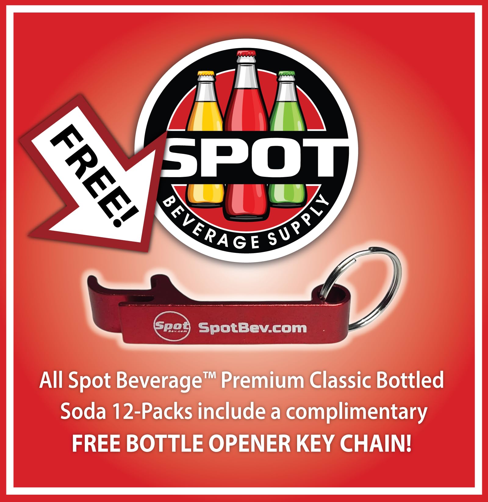 Spot Beverage™ Premium Classic Bottled Soda Brands (12-Pack, Mexican Cane Sugar Coke)