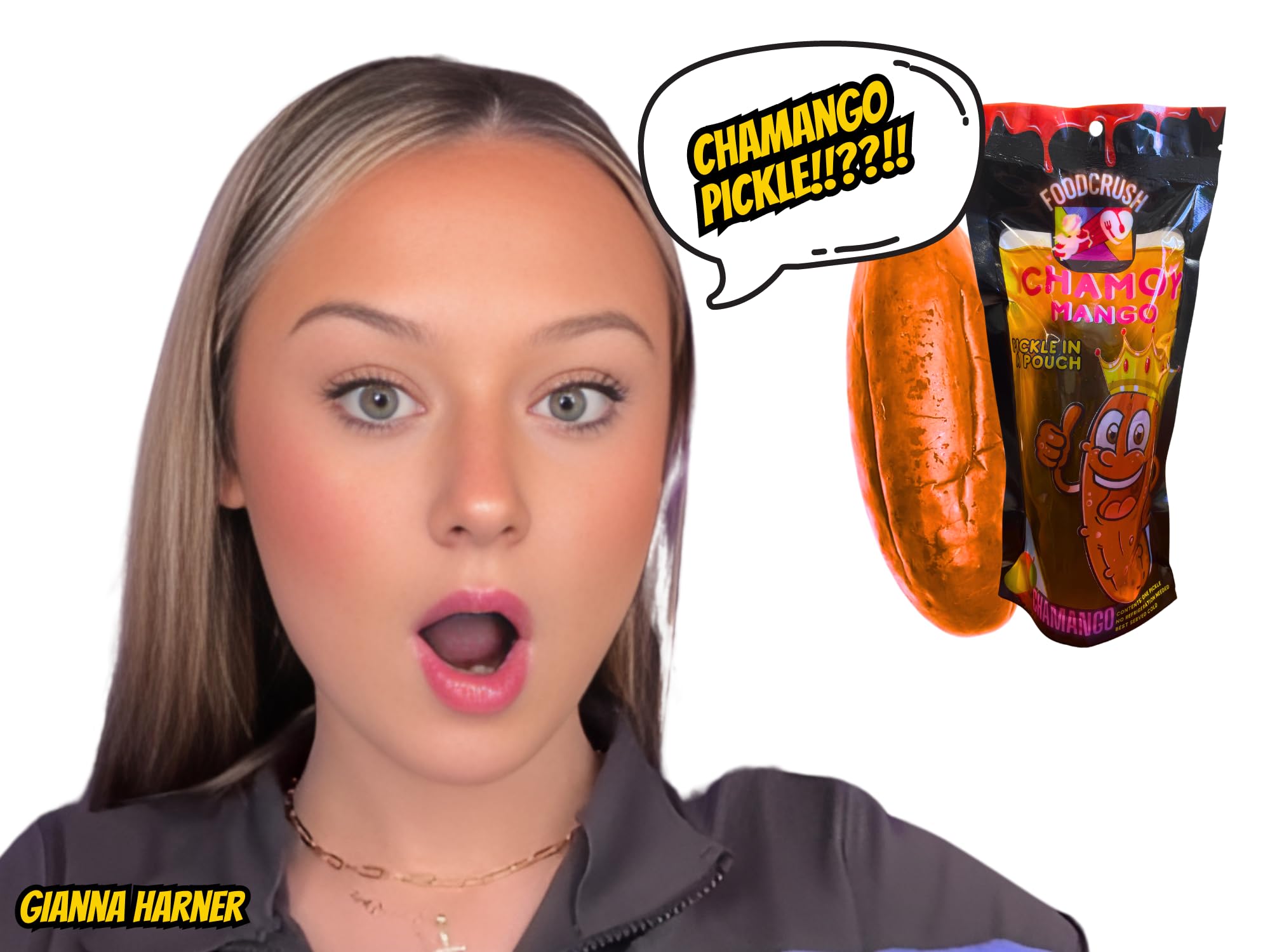 Chamoy Pickle Jumbo Dill Pickles In A Pouch Sampler Gift Box (Pack of 4) W/Chamoy, Super Hot & Spicy Chili Lime, Blue Raspberry, Tigers Blood-Box for College Care Packages Tiktok Trend Items snack