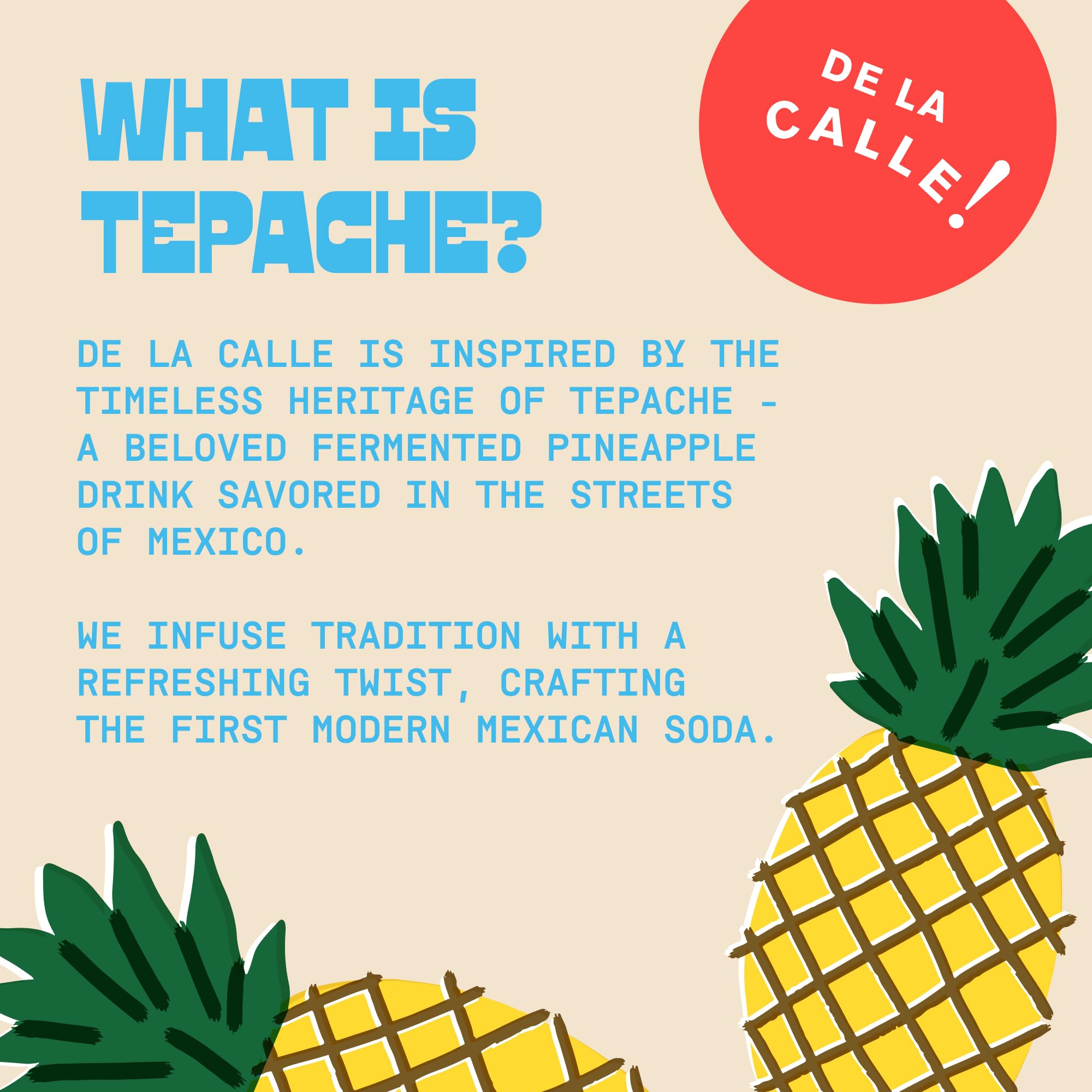 De La Calle Tepache - Mixta Variety Pack - Modern Mexican Soda - Craft Fermented Pineapple Sparkling Beverage - Certified Organic, Non-Alcoholic, Healthy Soda, Low Sugar, Low Calorie, Non-GMO