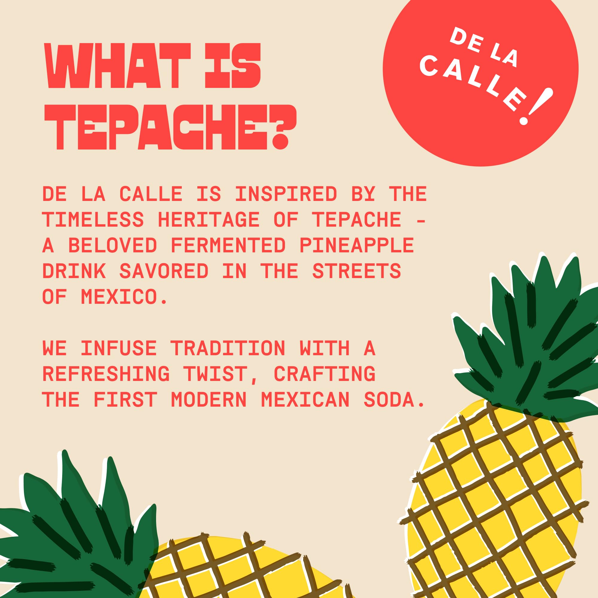 De La Calle Tepache - Mixta Variety Pack - Modern Mexican Soda - Craft Fermented Pineapple Sparkling Beverage - Certified Organic, Non-Alcoholic, Healthy Soda, Low Sugar, Low Calorie, Non-GMO