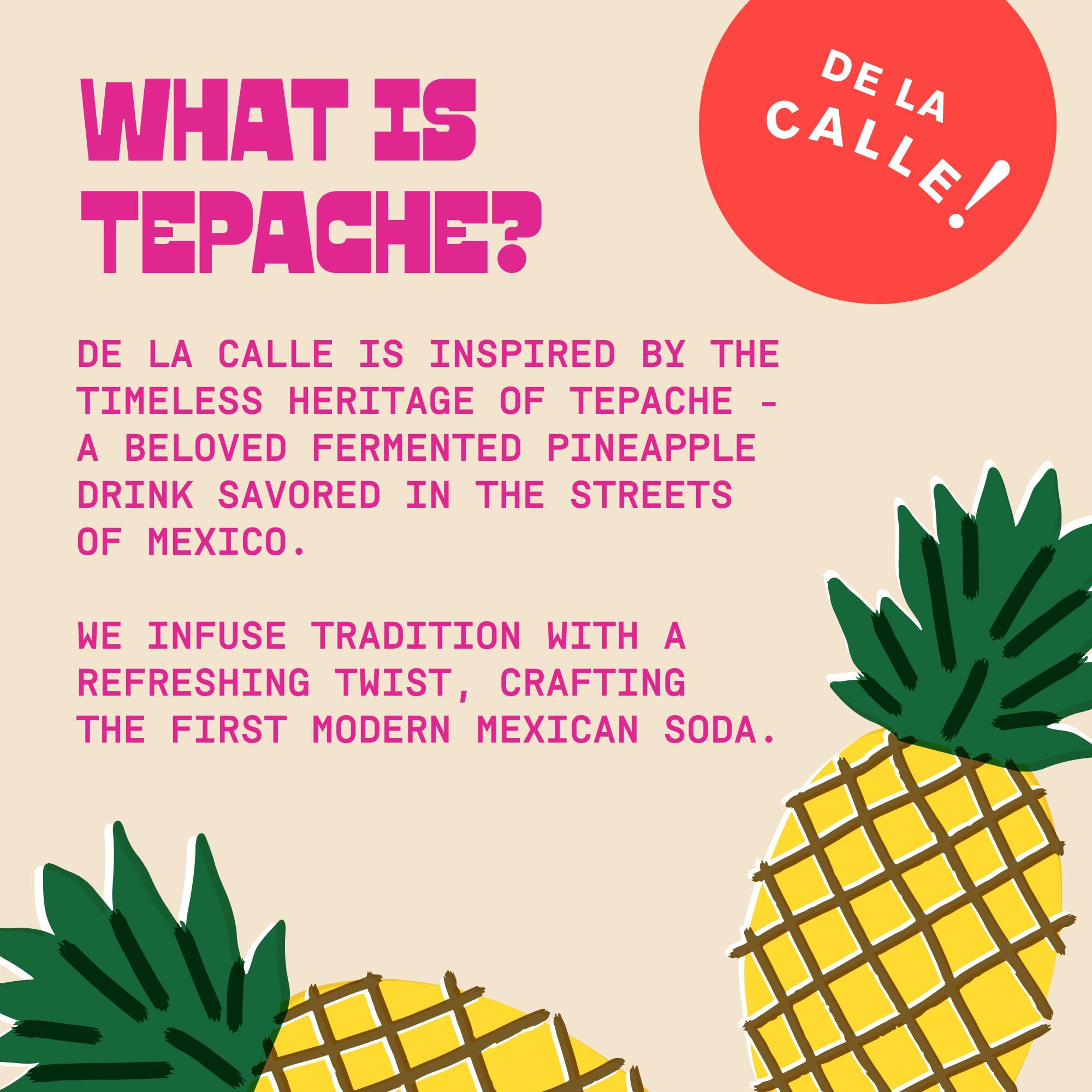De La Calle Tepache - Mixta Variety Pack - Modern Mexican Soda - Craft Fermented Pineapple Sparkling Beverage - Certified Organic, Non-Alcoholic, Healthy Soda, Low Sugar, Low Calorie, Non-GMO