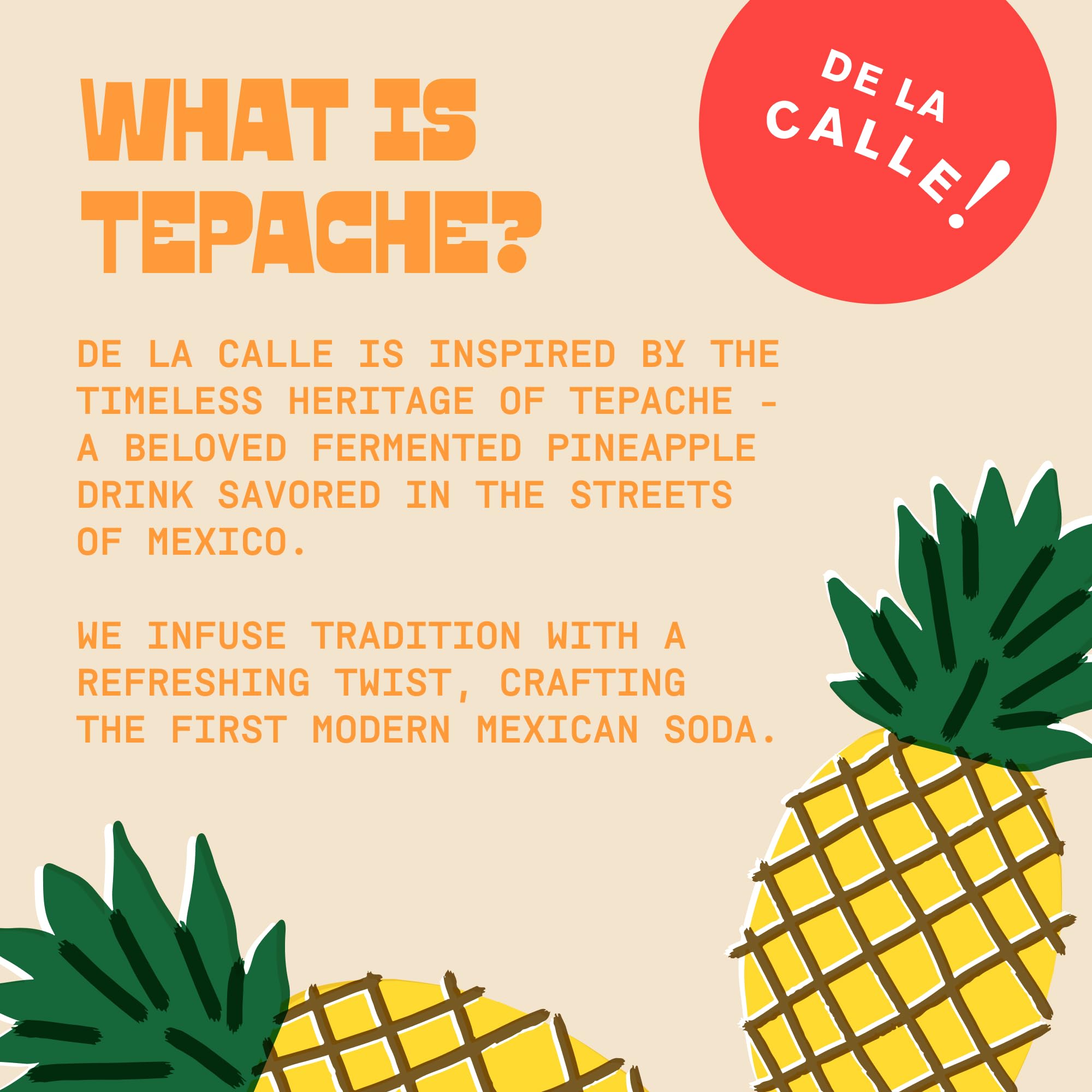 De La Calle Tepache - Mixta Variety Pack - Modern Mexican Soda - Craft Fermented Pineapple Sparkling Beverage - Certified Organic, Non-Alcoholic, Healthy Soda, Low Sugar, Low Calorie, Non-GMO