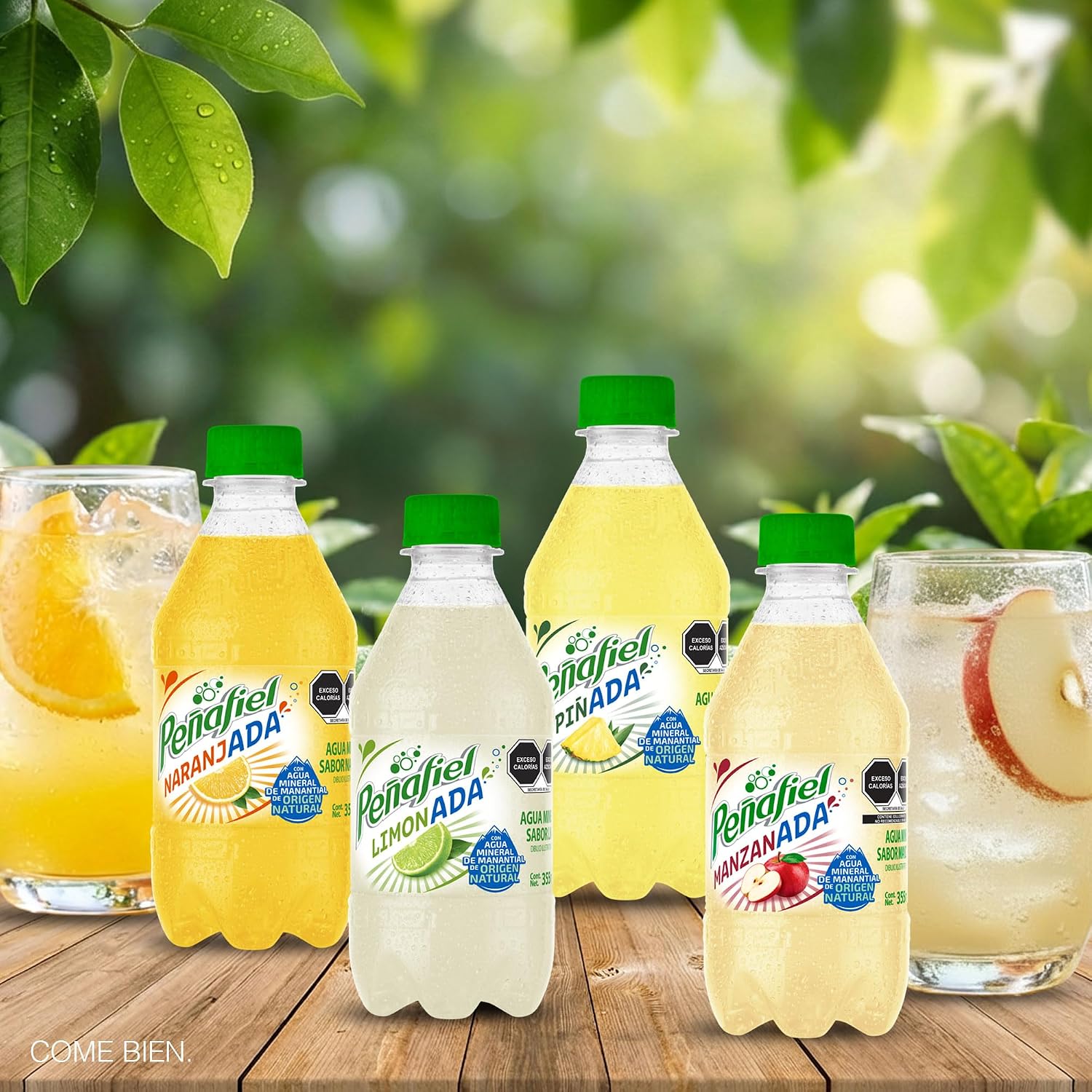 Peñafiel Adas Sabores Surtidos, Botella Pet, 355 ml, 12 piezas