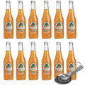 [Pack of 12] [Free Measuring Spoon] Jarritos Soft Drink, Shipping w/ Pulp Shipper For Safer Shipping - 12.5 Fl Oz (Mandarin)