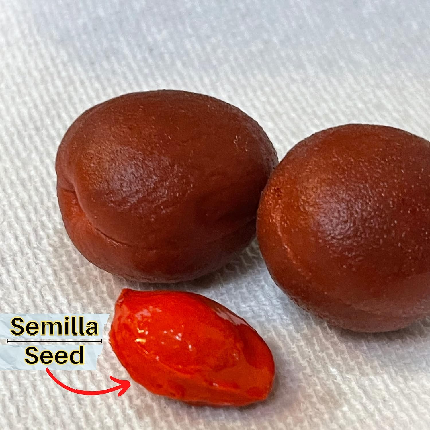 10 X Chamoy Chabacano Salado En Jugo Salted Apricot in Juice 4 Pcs Per Pack